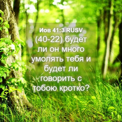 Picture 04 - Иов 41:3 RUSV - (40-22) будет ли он много - Bible Verse Picture