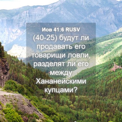 Picture 04 - Иов 41:6 RUSV - (40-25) будут ли продавать его - Bible Verse Picture