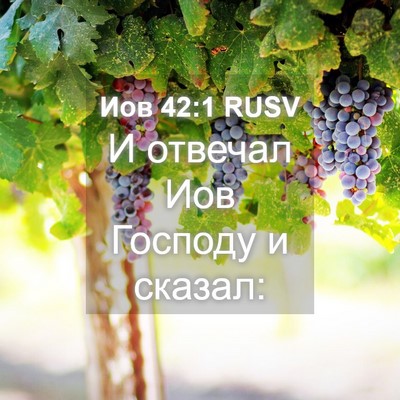 Picture 04 - Иов 42:1 RUSV - И отвечал Иов Господу и - Bible Verse Picture