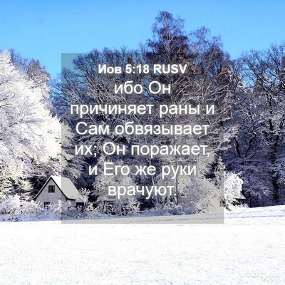 Picture 04 - Иов 5:18 RUSV - ибо Он причиняет раны и Сам - Bible Verse Picture