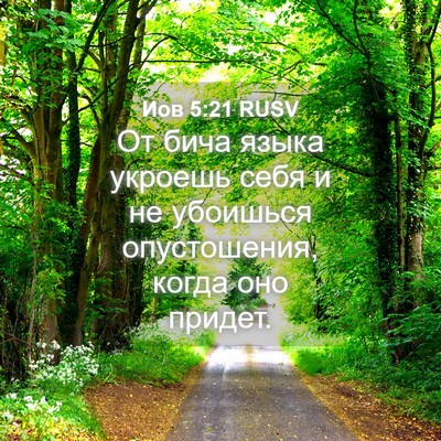 Picture 04 - Иов 5:21 RUSV - От бича языка укроешь себя - Bible Verse Picture