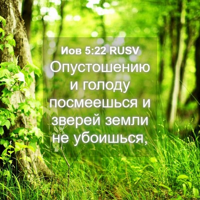 Picture 04 - Иов 5:22 RUSV - Опустошению и голоду - Bible Verse Picture