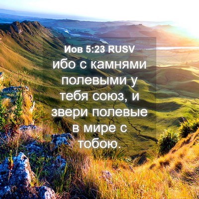 Picture 04 - Иов 5:23 RUSV - ибо с камнями полевыми у - Bible Verse Picture