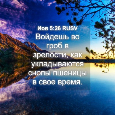 Picture 04 - Иов 5:26 RUSV - Войдешь во гроб в зрелости, - Bible Verse Picture