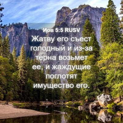 Picture 04 - Иов 5:5 RUSV - Жатву его съест голодный и - Bible Verse Picture