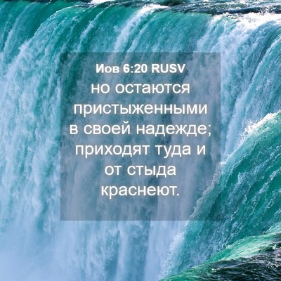 Picture 04 - Иов 6:20 RUSV - но остаются пристыженными - Bible Verse Picture