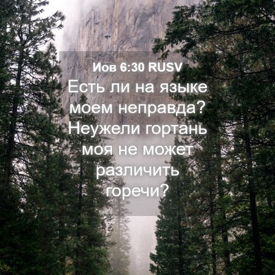 Picture 04 - Иов 6:30 RUSV - Есть ли на языке моем - Bible Verse Picture