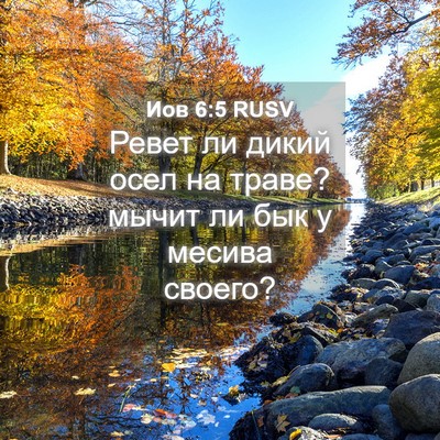 Picture 04 - Иов 6:5 RUSV - Ревет ли дикий осел на - Bible Verse Picture