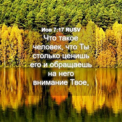 Picture 04 - Иов 7:17 RUSV - Что такое человек, что Ты - Bible Verse Picture