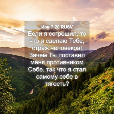 Picture 04 - Иов 7:20 RUSV - Если я согрешил, то что я - Bible Verse Picture