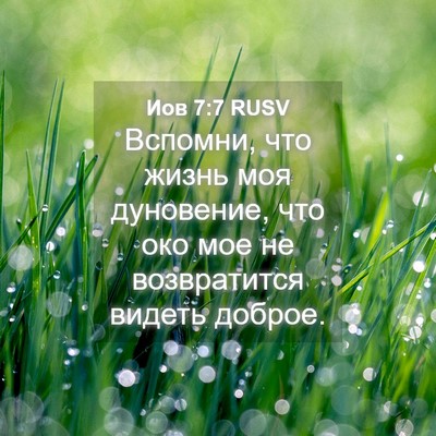 Picture 04 - Иов 7:7 RUSV - Вспомни, что жизнь моя - Bible Verse Picture