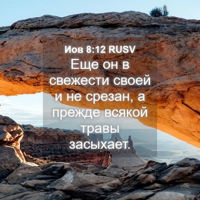 Picture 04 - Иов 8:12 RUSV - Еще он в свежести своей и - Bible Verse Picture