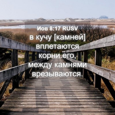 Picture 04 - Иов 8:17 RUSV - в кучу [камней] вплетаются - Bible Verse Picture