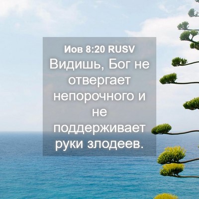 Picture 04 - Иов 8:20 RUSV - Видишь, Бог не отвергает - Bible Verse Picture