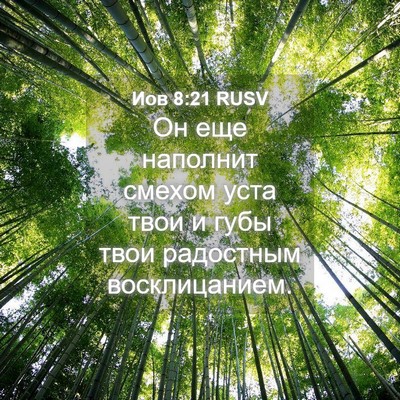 Picture 04 - Иов 8:21 RUSV - Он еще наполнит смехом - Bible Verse Picture