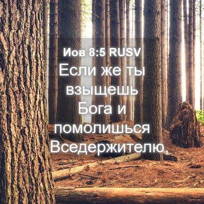 Picture 04 - Иов 8:5 RUSV - Если же ты взыщешь Бога и - Bible Verse Picture