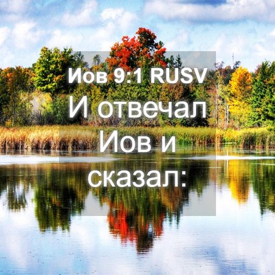 Picture 04 - Иов 9:1 RUSV - И отвечал Иов и - Bible Verse Picture