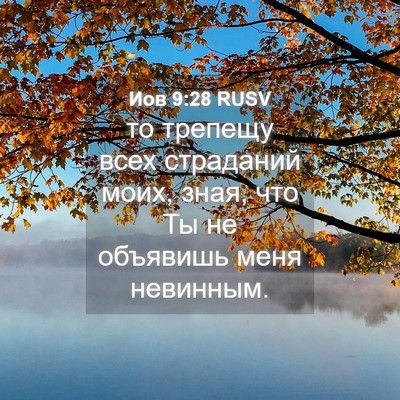 Picture 04 - Иов 9:28 RUSV - то трепещу всех страданий - Bible Verse Picture