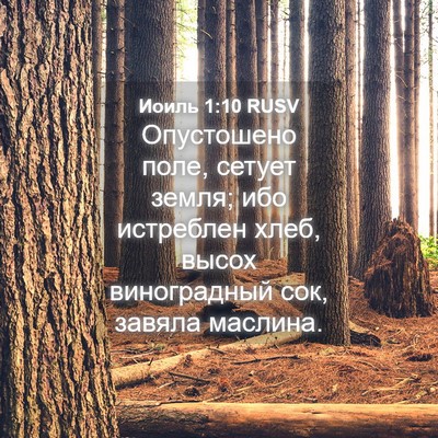 Picture 04 - Иоиль 1:10 RUSV - Опустошено поле, сетует - Bible Verse Picture
