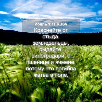 Picture 04 - Иоиль 1:11 RUSV - Краснейте от стыда, - Bible Verse Picture