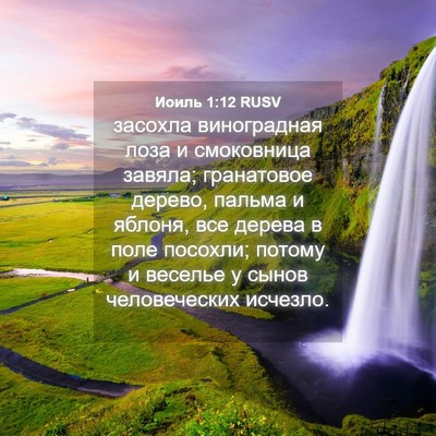 Picture 04 - Иоиль 1:12 RUSV - засохла виноградная лоза и - Bible Verse Picture