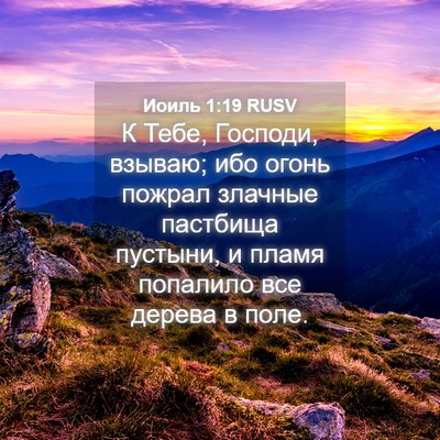 Picture 04 - Иоиль 1:19 RUSV - К Тебе, Господи, взываю; ибо - Bible Verse Picture
