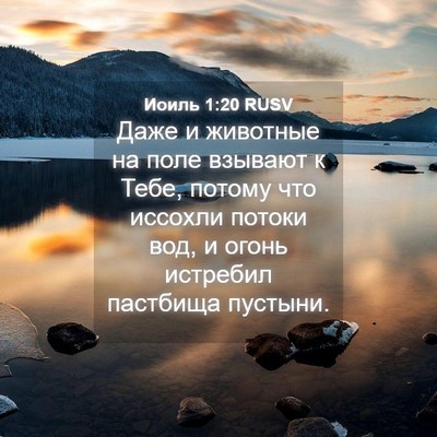Picture 04 - Иоиль 1:20 RUSV - Даже и животные на поле - Bible Verse Picture