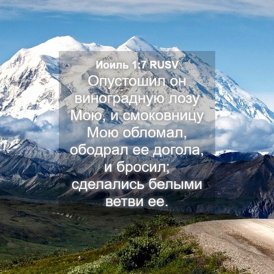 Picture 04 - Иоиль 1:7 RUSV - Опустошил он виноградную - Bible Verse Picture