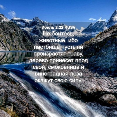 Picture 04 - Иоиль 2:22 RUSV - Не бойтесь, животные, ибо - Bible Verse Picture