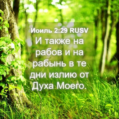 Picture 04 - Иоиль 2:29 RUSV - И также на рабов и на - Bible Verse Picture