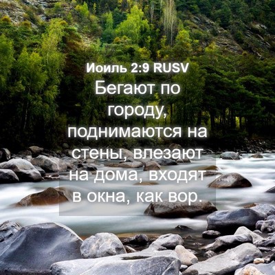 Picture 04 - Иоиль 2:9 RUSV - Бегают по городу, - Bible Verse Picture