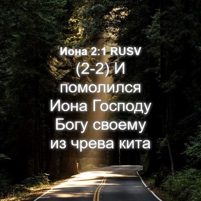 Picture 04 - Иона 2:1 RUSV - (2-2) И помолился Иона - Bible Verse Picture
