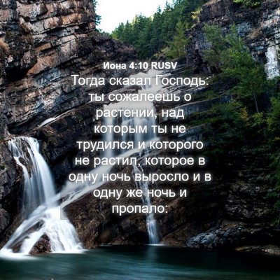 Picture 04 - Иона 4:10 RUSV - Тогда сказал Господь: ты - Bible Verse Picture