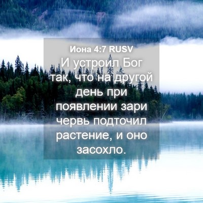 Picture 04 - Иона 4:7 RUSV - И устроил Бог так, что на - Bible Verse Picture