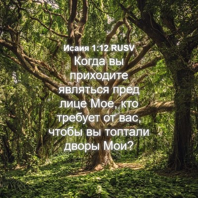 Picture 04 - Исаия 1:12 RUSV - Когда вы приходите - Bible Verse Picture