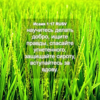 Picture 04 - Исаия 1:17 RUSV - научитесь делать добро, - Bible Verse Picture