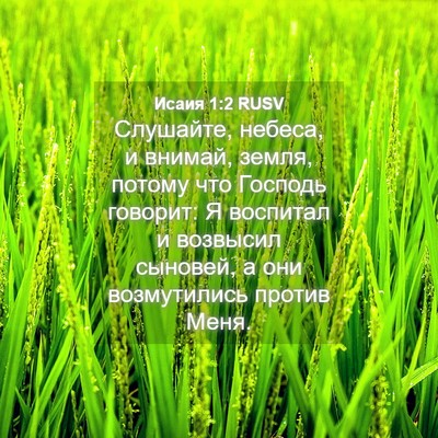 Picture 04 - Исаия 1:2 RUSV - Слушайте, небеса, и внимай, - Bible Verse Picture