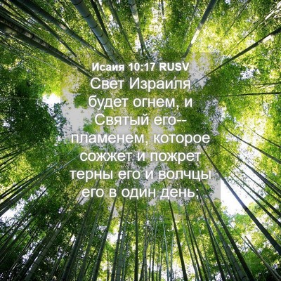 Picture 04 - Исаия 10:17 RUSV - Свет Израиля будет огнем, и - Bible Verse Picture