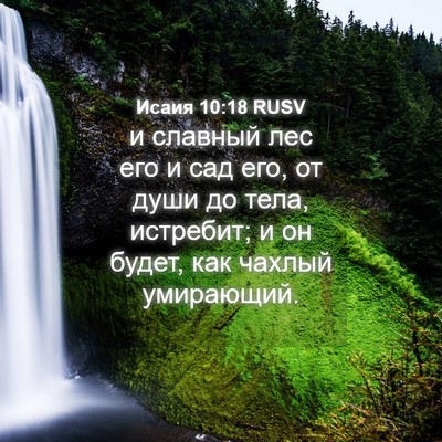 Picture 04 - Исаия 10:18 RUSV - и славный лес его и сад его, - Bible Verse Picture