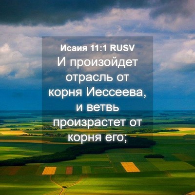 Picture 04 - Исаия 11:1 RUSV - И произойдет отрасль от - Bible Verse Picture