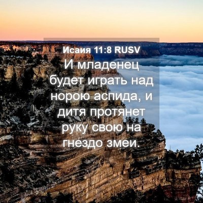 Picture 04 - Исаия 11:8 RUSV - И младенец будет играть - Bible Verse Picture