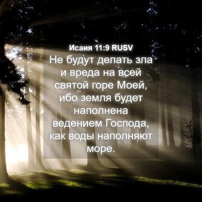 Picture 04 - Исаия 11:9 RUSV - Не будут делать зла и вреда - Bible Verse Picture