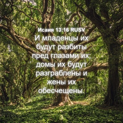 Picture 04 - Исаия 13:16 RUSV - И младенцы их будут - Bible Verse Picture