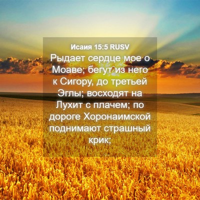 Picture 04 - Исаия 15:5 RUSV - Рыдает сердце мое о Моаве; - Bible Verse Picture
