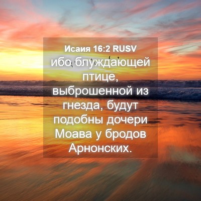 Picture 04 - Исаия 16:2 RUSV - ибо блуждающей птице, - Bible Verse Picture