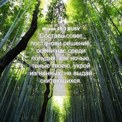 Picture 04 - Исаия 16:3 RUSV - 'Составь совет, постанови - Bible Verse Picture
