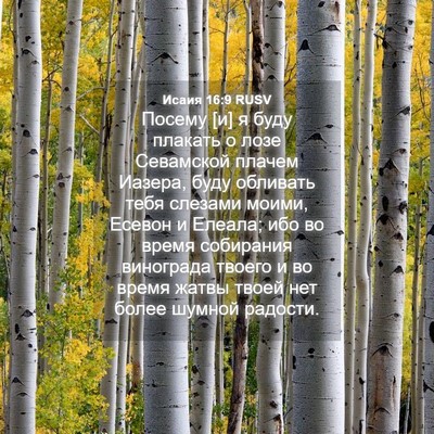 Picture 04 - Исаия 16:9 RUSV - Посему [и] я буду плакать о - Bible Verse Picture
