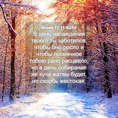 Picture 04 - Исаия 17:11 RUSV - В день насаждения твоего - Bible Verse Picture