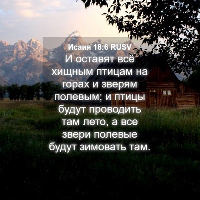 Picture 04 - Исаия 18:6 RUSV - И оставят всё хищным - Bible Verse Picture