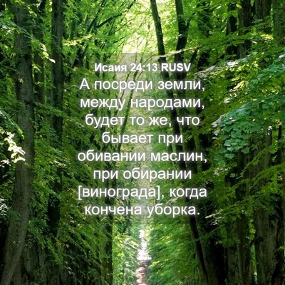 Picture 04 - Исаия 24:13 RUSV - А посреди земли, между - Bible Verse Picture